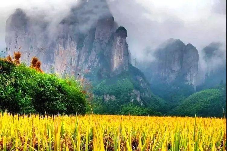 兄弟深情陪伴，两周后病体再恶化，小薇为哥哥分手感到无尽愧疚
