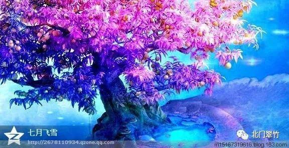 奥莉的夏威夷之旅